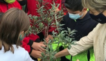 Un nen i una nena planten un lledoner amb una professora