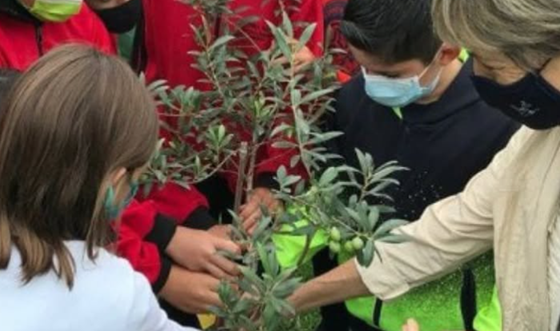 Un nen i una nena planten un lledoner amb una professora